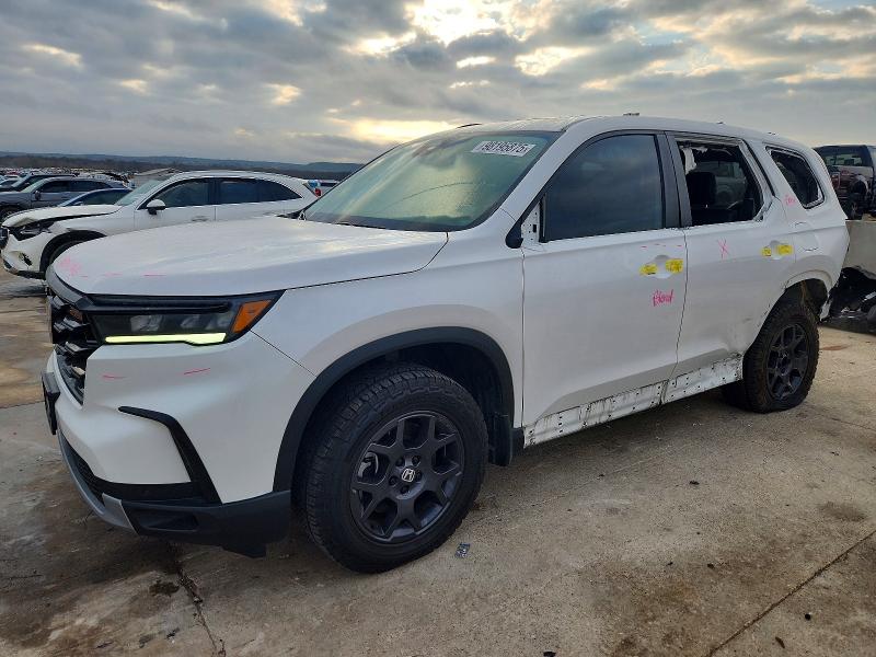 2024 HONDA PILOT — VIN 5FNYG1H66RB029045