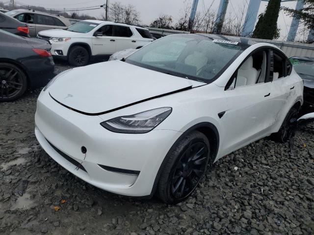 2023 TESLA MODEL Y — VIN 7SAYGDEE1PA104082