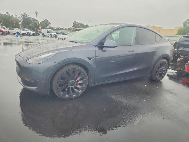 2022 TESLA MODEL Y — VIN 7SAYGDEF6NF567957