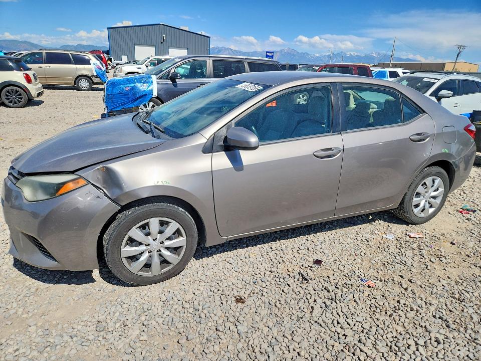 5YFBURHEXFP320796