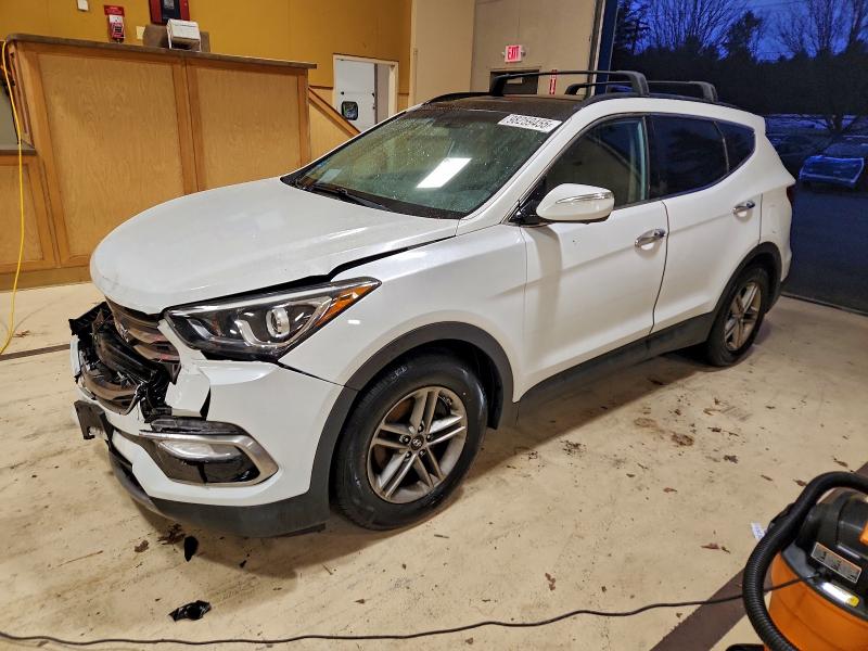 2017 HYUNDAI SANTA FE S — VIN 5NMZUDLB5HH034351