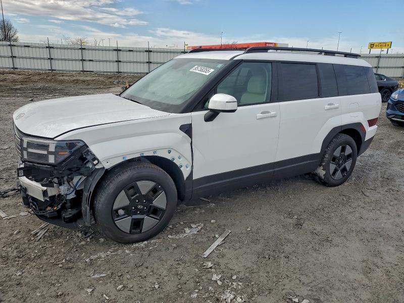 2025 HYUNDAI SANTA FE S — VIN 5NMP2DG13SH065121