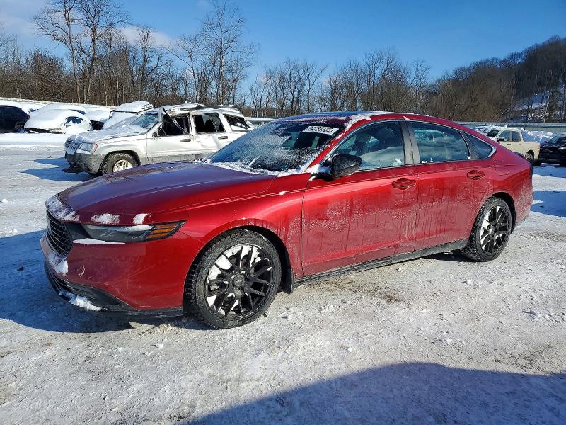 2023 HONDA ACCORD — VIN 1HGCY2F51PA008991