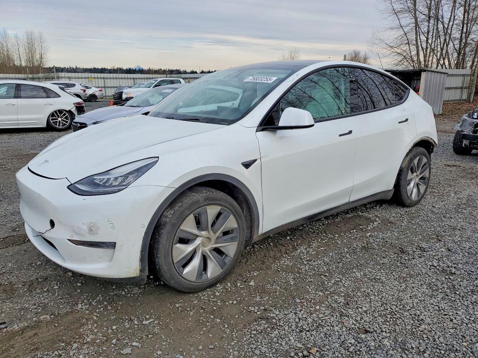 2020 TESLA MODEL Y — VIN 5YJYGDEE6LF051700