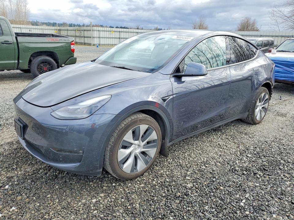 2023 TESLA MODEL Y — VIN 7SAYGDEE3PF961717