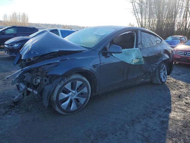 2024 TESLA MODEL Y — VIN 7SAYGDED3RF053228
