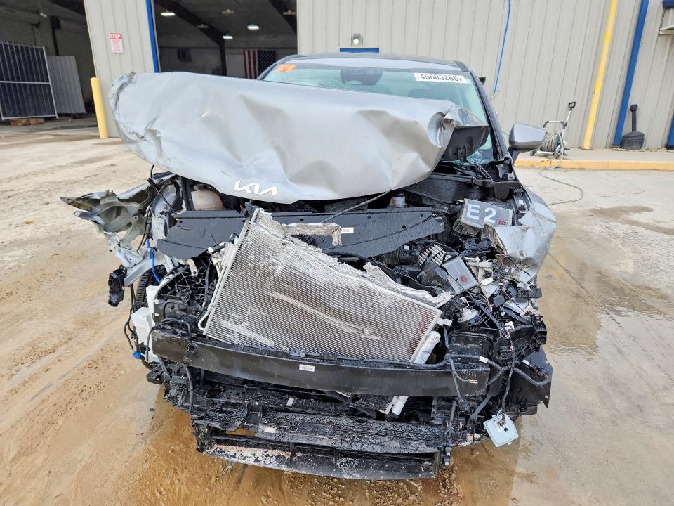 KNDPU3AF7P7066084