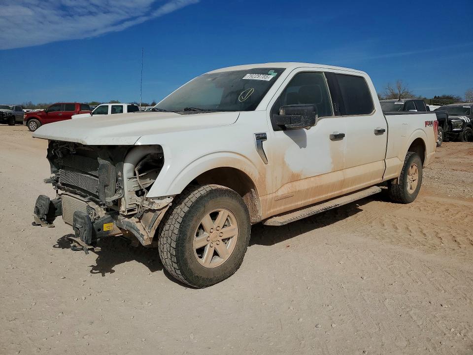 2021 FORD F150 — VIN 1FTFW1ED7MFD09736