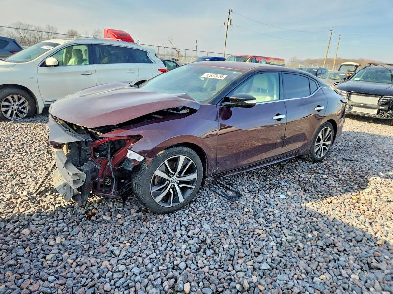 2019 NISSAN MAXIMA — VIN 1N4AA6AV4KC361687