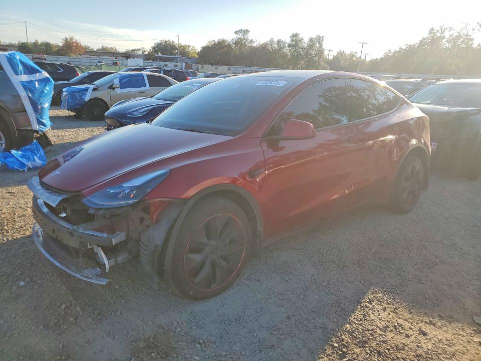 2024 TESLA MODEL Y — VIN 7SAYGDED2RF094983