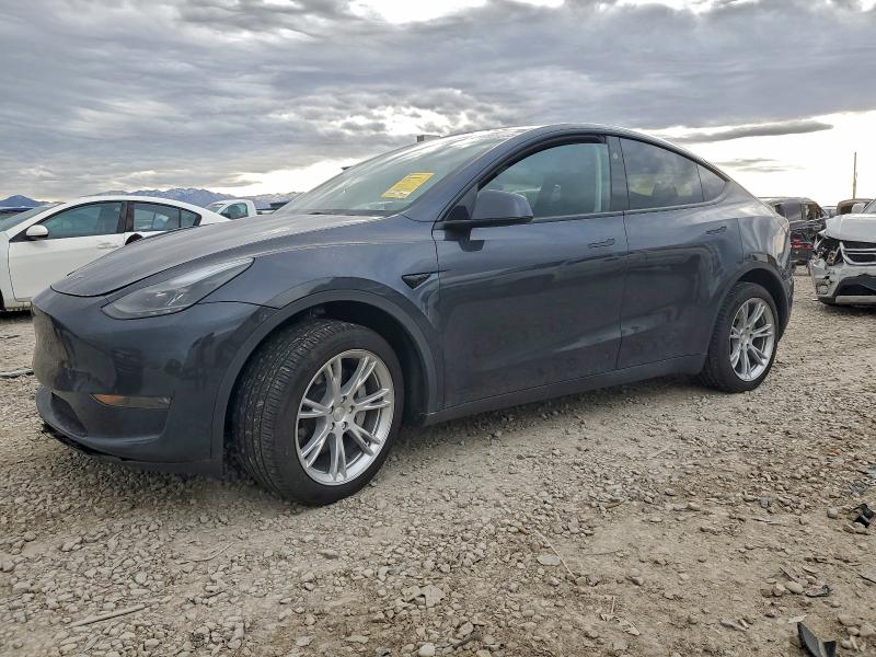 2024 TESLA MODEL Y — VIN 7SAYGDEE4RA220931