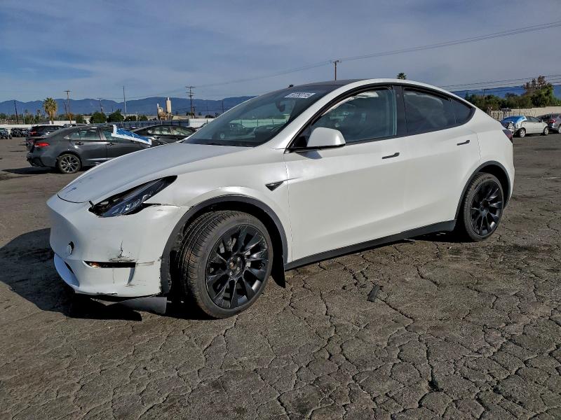 2023 TESLA MODEL Y — VIN 7SAYGDEE0PA032873