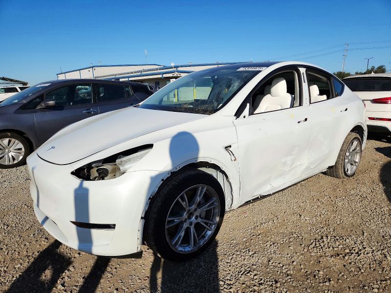 2023 TESLA MODEL Y — VIN 7SAYGDEE9PF614408