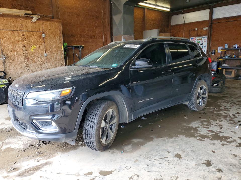 2019 JEEP CHEROKEE — VIN 1C4PJMDX9KD393910