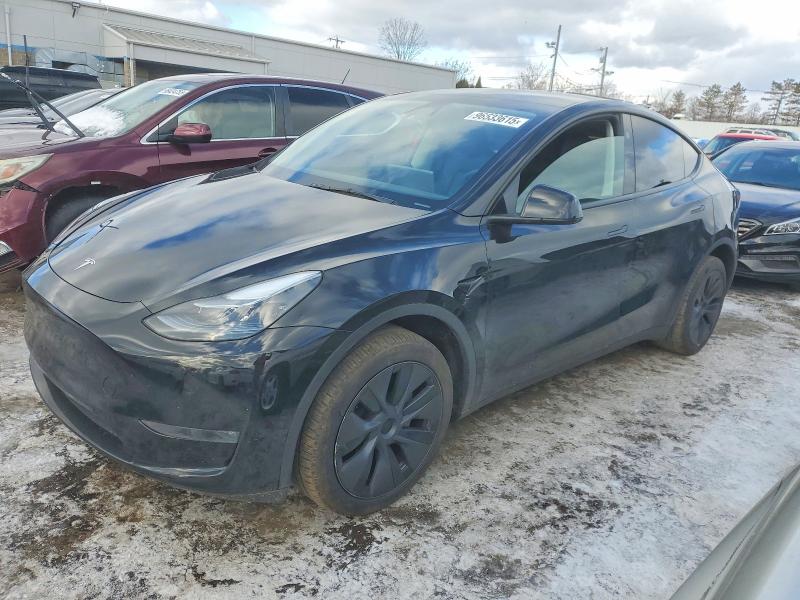 2024 TESLA MODEL Y — VIN 7SAYGDEE1RA325166