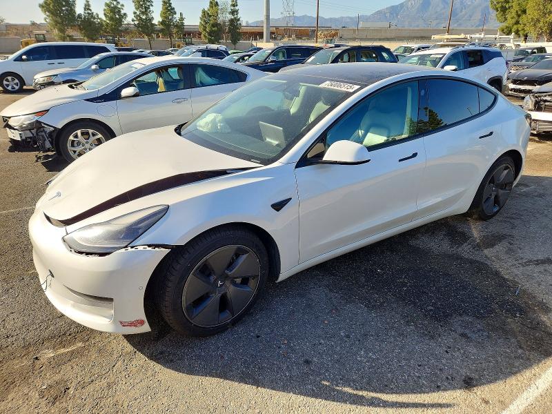2021 TESLA MODEL 3 — VIN 5YJ3E1EAXMF021385