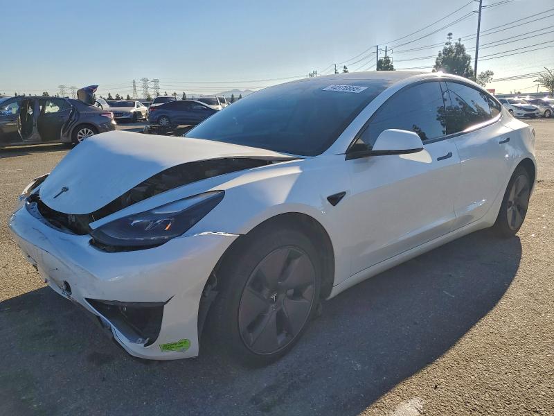 2023 TESLA MODEL 3 — VIN 5YJ3E1EA8PF408683
