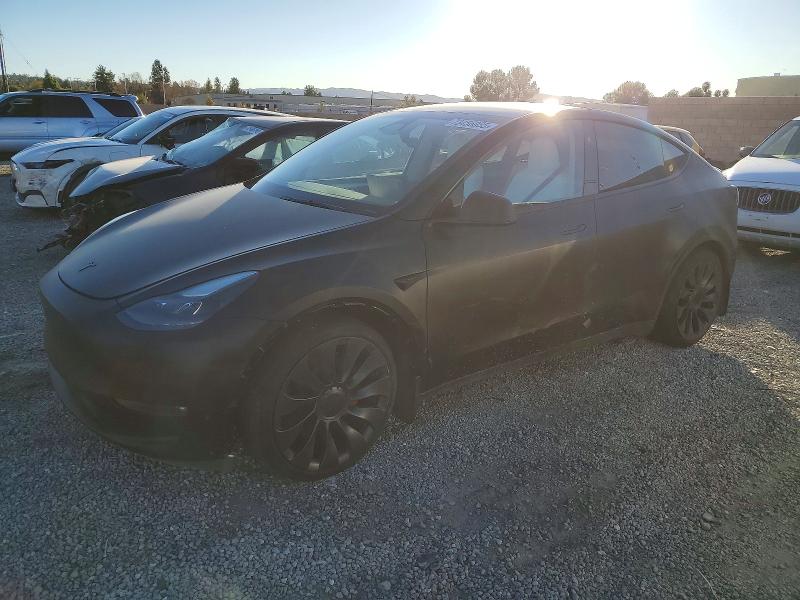 2024 TESLA MODEL Y — VIN 7SAYGDEF0RF078881