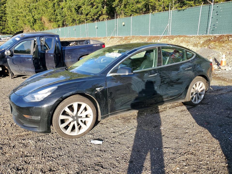 2019 TESLA MODEL 3 — VIN 5YJ3E1EB2KF433659