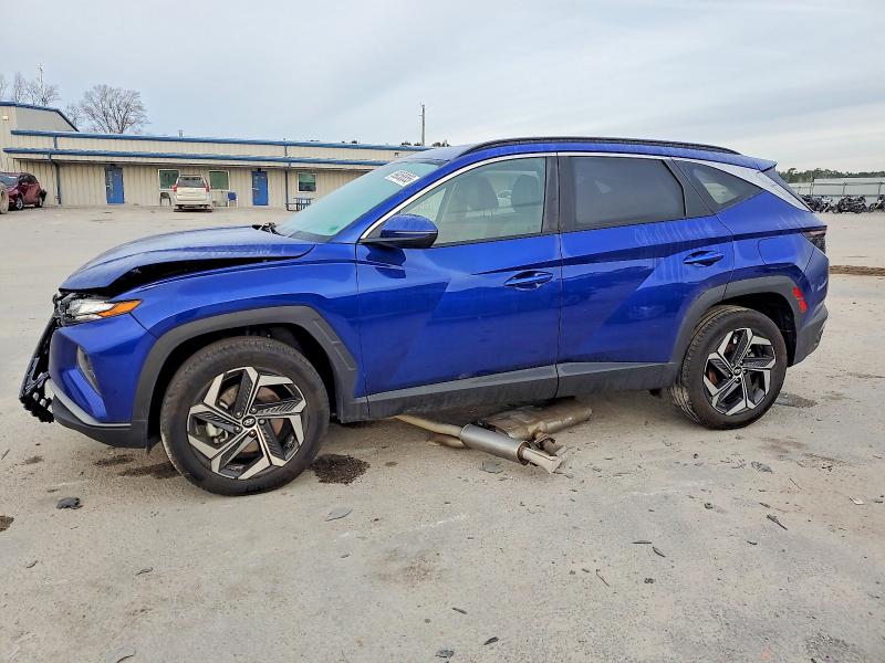 2024 HYUNDAI TUCSON — VIN 5NMJFCDE6RH354158