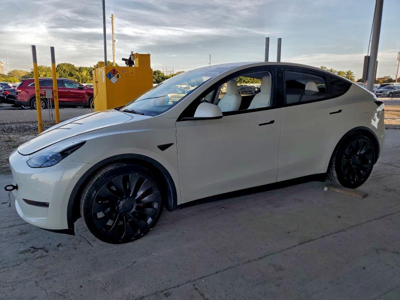 2023 TESLA MODEL Y — VIN 7SAYGDEF4PF605236