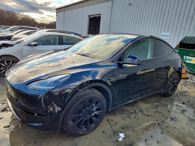 2023 TESLA MODEL Y — VIN 7SAYGAEE7PF905052