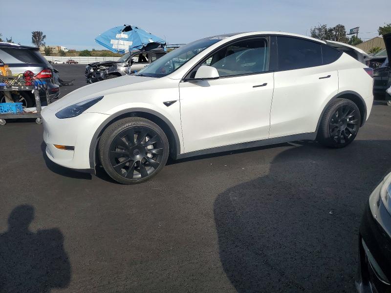 2023 TESLA MODEL Y — VIN 7SAYGAEE1PF620198