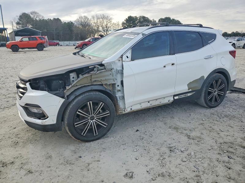2017 HYUNDAI SANTA FE S — VIN 5NMZU3LBXHH028846
