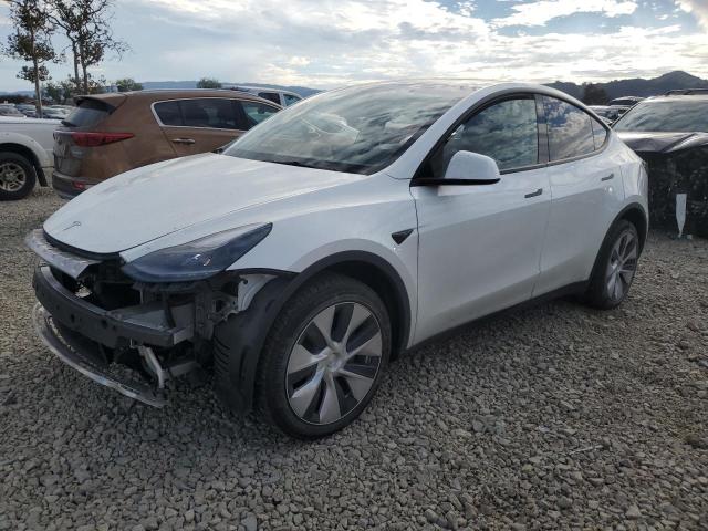 2023 TESLA MODEL Y — VIN 7SAYGDEE2PF742439
