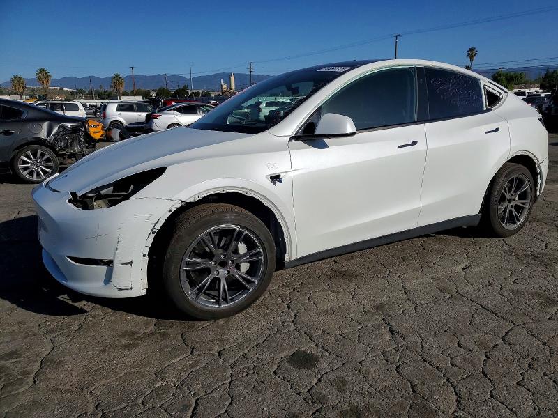 2024 TESLA MODEL Y — VIN 7SAYGDED0RF170278