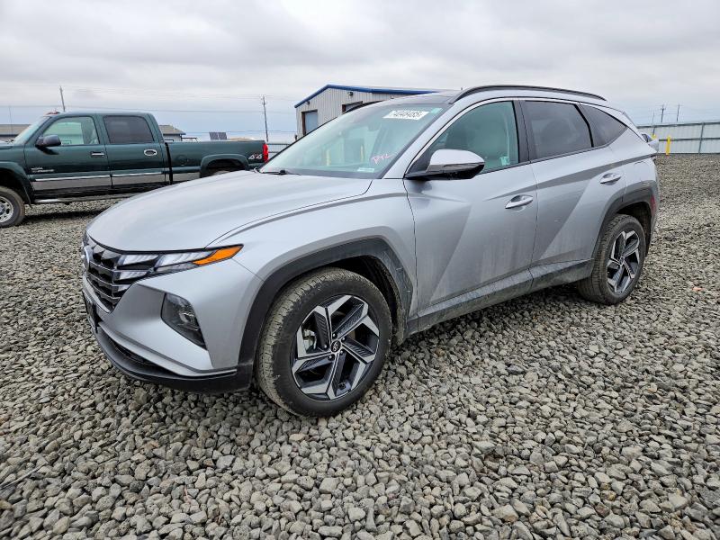 2024 HYUNDAI TUCSON — VIN KM8JCCD14RU163543