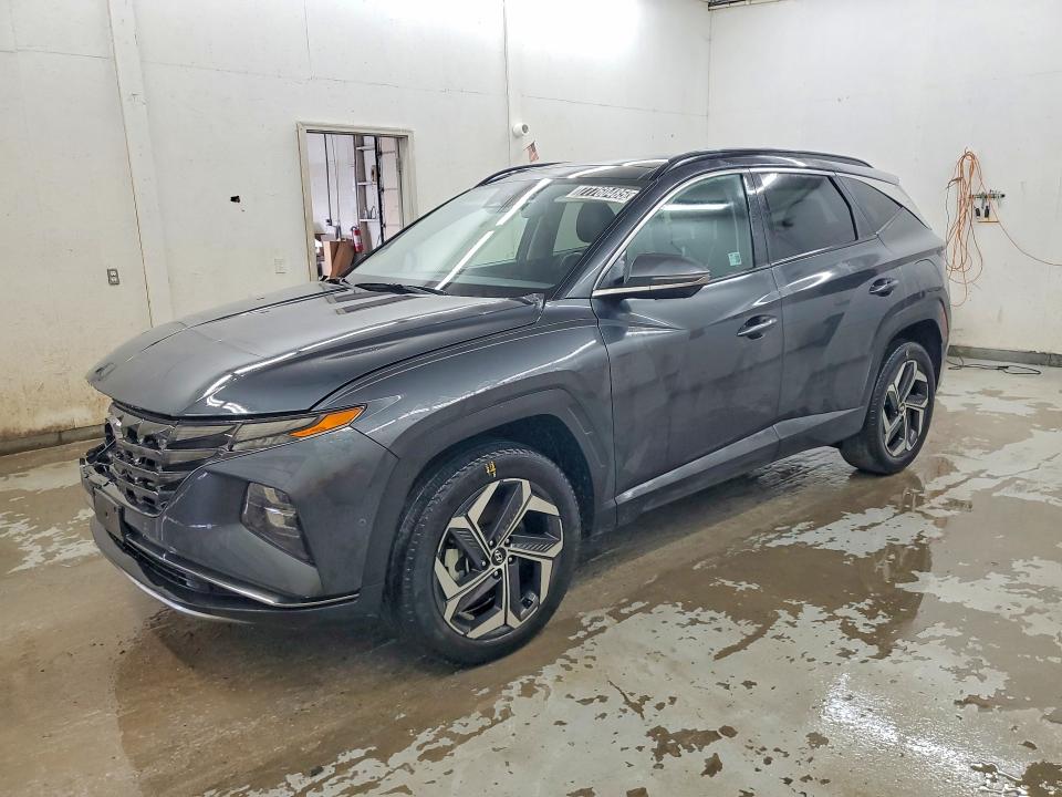 2024 HYUNDAI TUCSON — VIN 5NMJECDEXRH353324