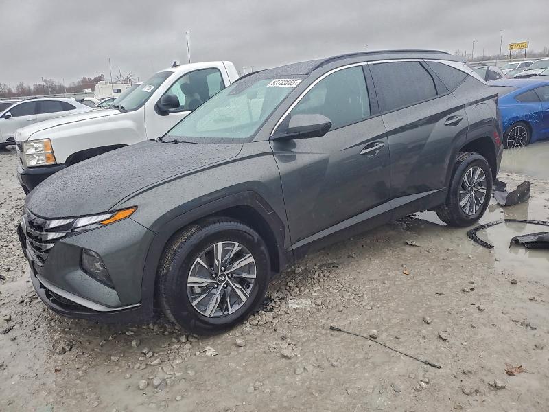 2024 HYUNDAI TUCSON BLU — VIN KM8JBCD12RU142239