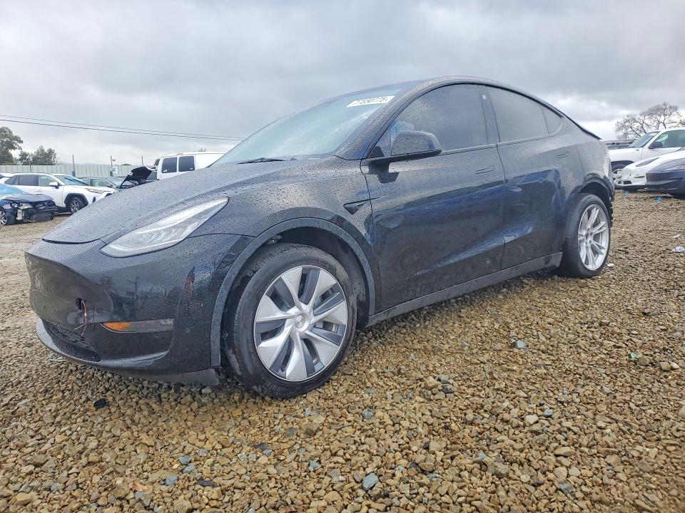 2023 TESLA MODEL Y — VIN 7SAYGDEE3PA082702
