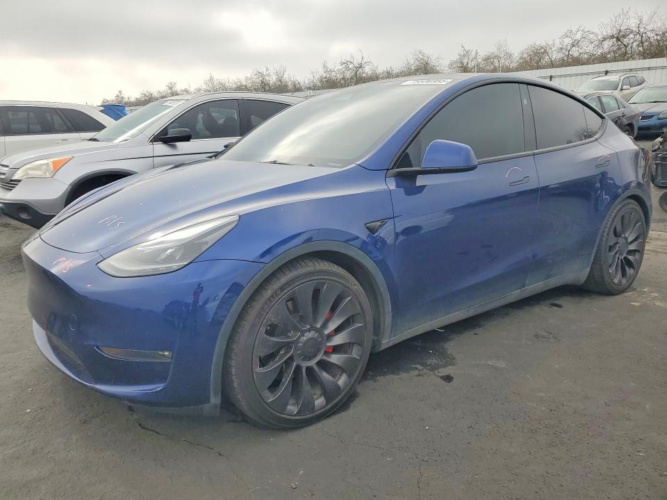 2024 TESLA MODEL Y — VIN 7SAYGDEF5RF037694