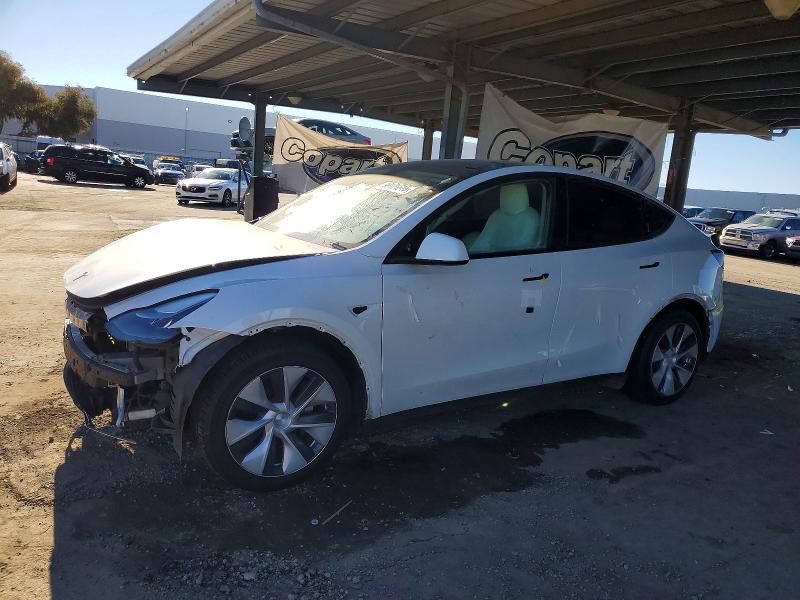 2023 TESLA MODEL Y — VIN 7SAYGDEE2PF635696
