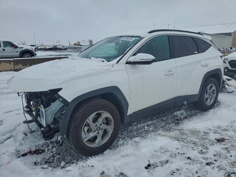 2023 HYUNDAI TUCSON — VIN 5NMJBCAE4PH217555