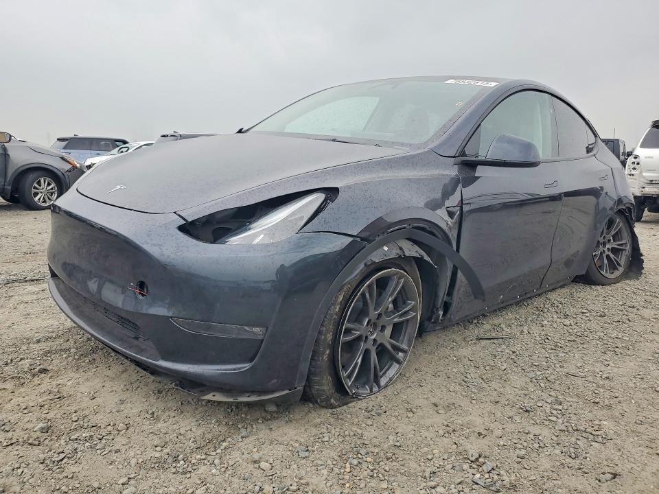 2024 TESLA MODEL Y — VIN 7SAYGAEE5RF116661
