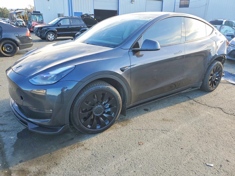 2024 TESLA MODEL Y — VIN 7SAYGDEE5RF071755