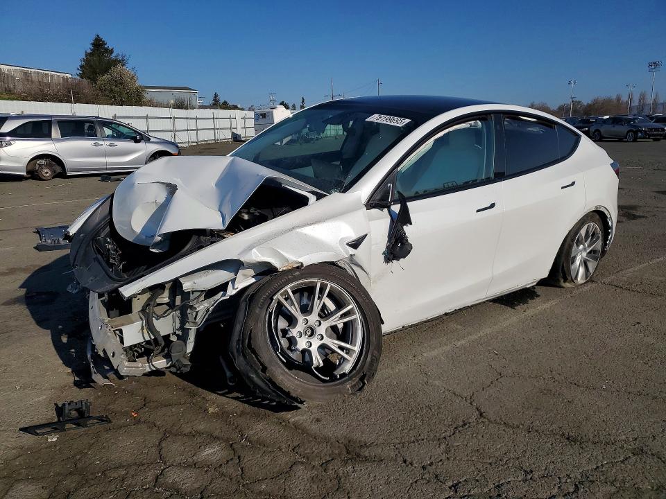 2021 TESLA MODEL Y — VIN 5YJYGDEE2MF211282