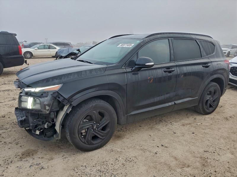 2021 HYUNDAI SANTA FE S — VIN 5NMS64AJ9MH303659