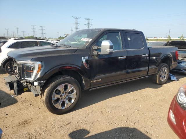 2023 FORD F150 — VIN 1FTFW1ED4PFB41252