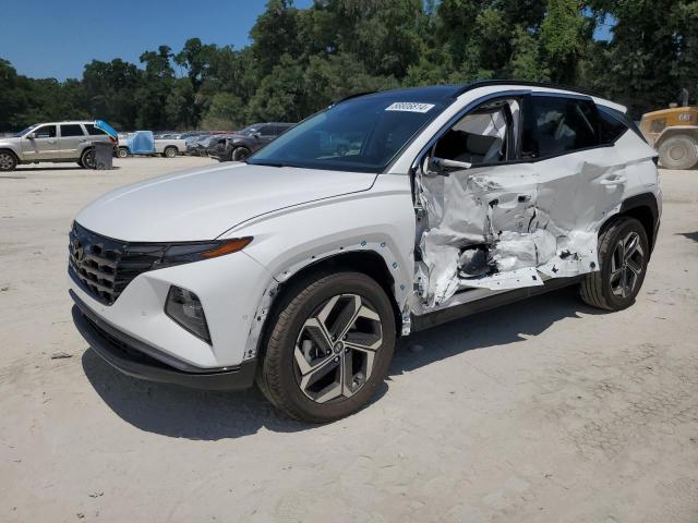 2024 HYUNDAI TUCSON LIM — VIN 5NMJECDE4RH388750