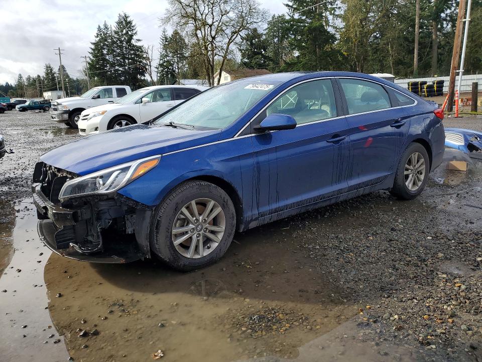 2017 HYUNDAI SONATA — VIN 5NPE24AF8HH505664