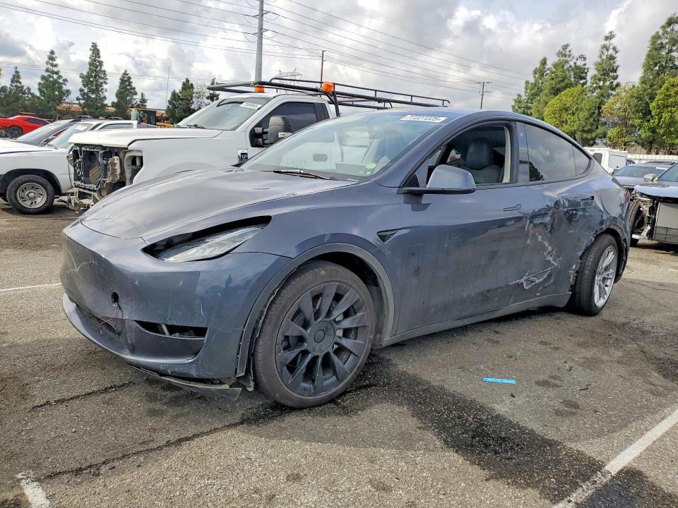 2023 TESLA MODEL Y — VIN 7SAYGDEE1PA055871