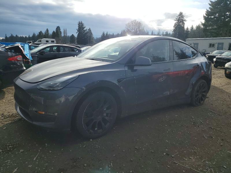 2022 TESLA MODEL Y — VIN 7SAYGAEE2NF541023