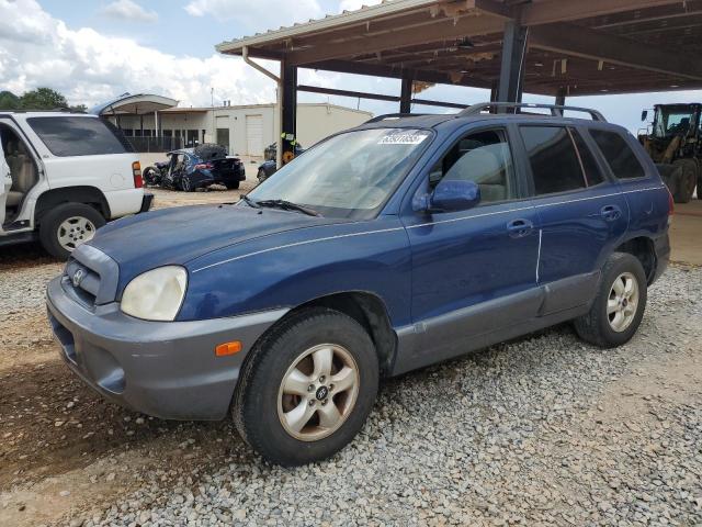 2006 HYUNDAI SANTA FE — VIN KM8SC13D96U091920