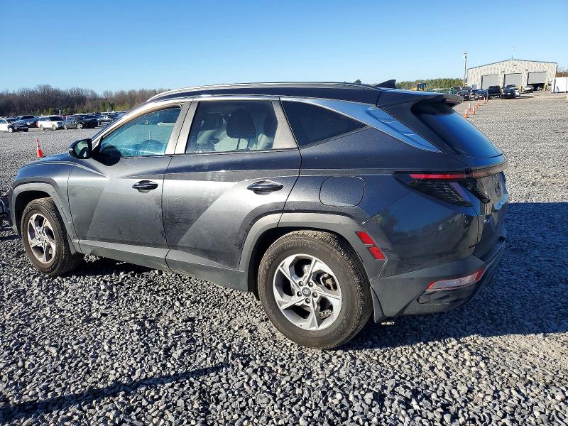 2023 HYUNDAI TUCSON — VIN 5NMJB3AE3PH254919