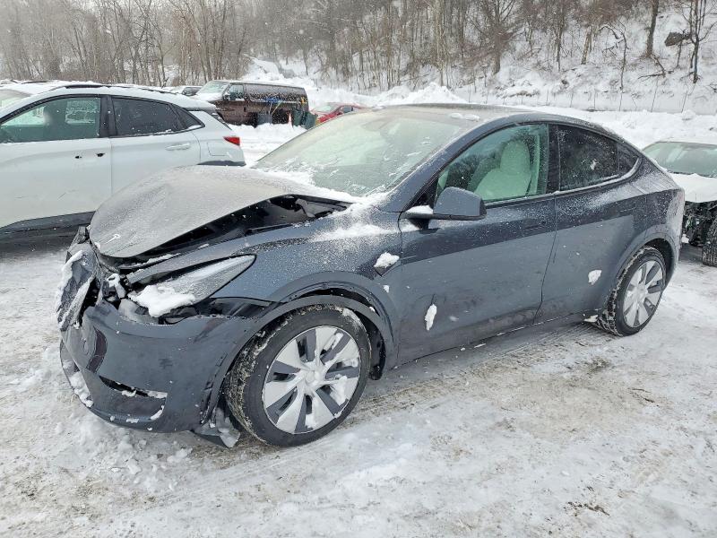 2024 TESLA MODEL Y — VIN 7SAYGDEEXRA279675