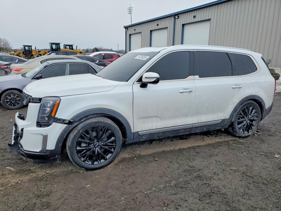 2020 KIA TELLURIDE — VIN 5XYP5DHCXLG084087